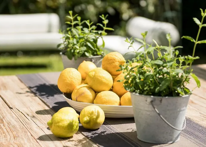 Monti Di Luna فيلة